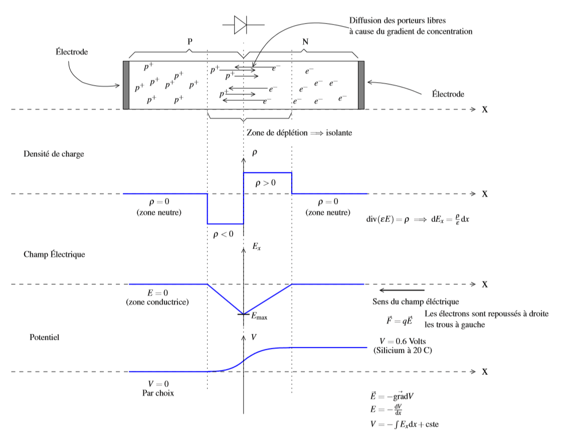 modèle d'une diode