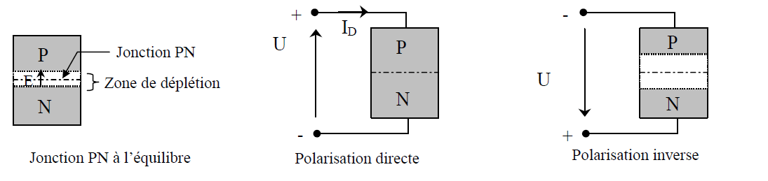 polarisation diode
